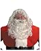 Professional Santa Claus Wig and Beard Set Christmas Xmas Holiday Party Outfit Costum...
