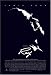 Ray [Import]
