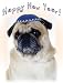 Book Pet Star Jewish New Year Cards - Pug
