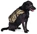 Sporting Goods : Stearns® Flotation Pet Vest MX4