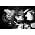 Thumbnail image of Levon Helm