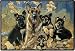 German Shepherd Family Indoor/ Outdoor Doormat Rug Mat