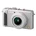 Panasonic DMC-LX3S 10.1MP Digital Camera with 2.5x Wide Angle MEGA Optical Image Stabilized Zoom (Silver)