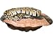 Magnaturals Large Extra Strength Mushroom Ledge - Magnetic Decor