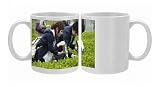 Visitors to the Makinohara tea fields hand picking their own green tea leaves, Photo Mugs