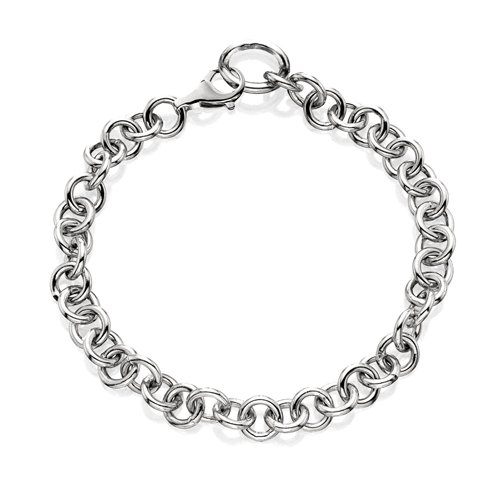 Charm Bracelet 8.5 inches