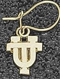 Tennessee Volunteers UT 3/8 inch Dangle 14K Gold Earrings