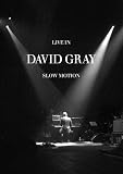Review David Gray  / David Gray - Live In Slow Motion