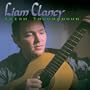 Irish Troubadour