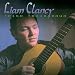 Irish Troubadour