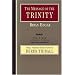 The Message of the Trinity: Life in God (Bible Speaks Today)