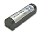 Delkin Devices SONY LIP-10/B-9519 ( DD/LIP-10/B-9519 )