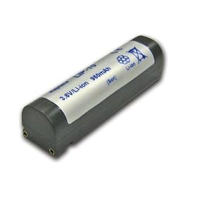 Delkin Devices SONY LIP-10/B-9519 ( DD/LIP-10/B-9519 )