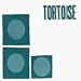 Tortoise