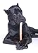 Downtown Pet Supply Bully Sticks for Dogs (12