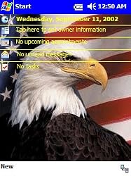 Patriotic Eagle Today Theme II