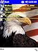 Patriotic Eagle Today Theme II