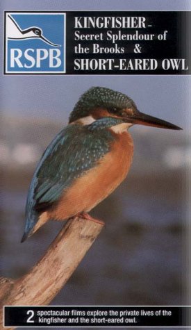 : Kingfisher: Secret Splendour Of The Brooks / Short-Eared Owl