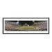 Everlasting Images Clemson Tigers Death Valley 616 Piece Jigsaw Puzzle