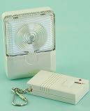 Remote Security Light