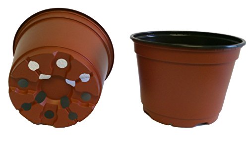 20 NEW 6 Inch TEKU Plastic Nursery Pots - Azalea Style ~ Pots ARE 6 Inch Round At the Top and 4.25 Inch Deep. Color : Terracotta