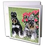 Dogs Schnauzer - Schnauzer - Greeting Cards-6 Greeting Cards with envelopes