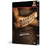Gangland: The Complete Season 4