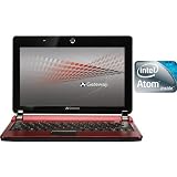 Neoprene Sleeve for Gateway 10.1" 11.6" 14" 15.4 Inch Notebook Sleeve Gateway T Gateway LT Gateway M Series Netbook Sleeve (11.6", Dual Pocket Pink)