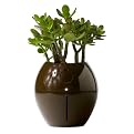 Grobal Self-Watering Pot - Earth