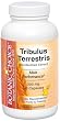 Botanic Choice Tribulus Terrestis 250 mg 90-Count Bottle (Pack of 5)