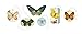 Cavallini Gift Tags Butterflies, 36 Assorted Gift Tags