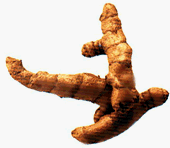 Childrens Toyshop  Gourmet Food : One pound Ground Tumeric