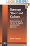Between 'Race' and Culture: Representations of 'the Jew' in English and American Literature (Stanford Studies in Jewish History and C)