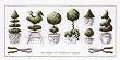 Permin of Copenhagen Topiary Garden Pots Counted Cross Stitch 70-8431