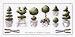 Permin of Copenhagen Topiary Garden Pots Counted Cross Stitch 70-8431