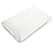 EcoSoft CORE Natural Oil-based Memory Foam Pillow (STANDARD, 24 x 16 x 5 inches)