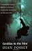 Gorillas in the Mist: A Remarkable Story of Thirteen Years Spent Living with the Greatest of the Great Apes