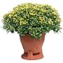 HiFi Works 30034 HFWSST Planter Speaker