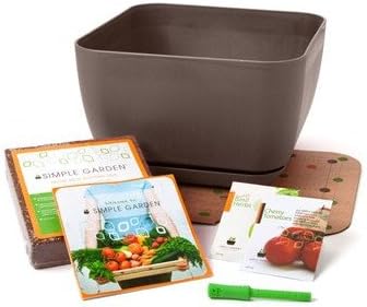 Simple Garden Square Planter Box Color: Brown
