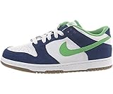 Nike Dunk Low 6.0 Jr (Kids)