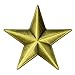 3D 5 Point Bronze Star Lapel Pin