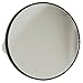 Evriholder 10X Magnification Macro Mirror, 3.5-inch in diameter. (MACM-10X)