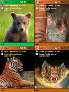 Wild Kingdom 2 4 pak by Pixelgrafx.com