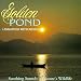 Golden Pond: Nature's Relaxing Sounds