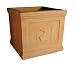 Large Classica Collection - male motif