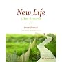 New Life After Divorce Workbook: The Promise of Hope Beyond the Pain (Workbook)