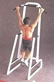 Maxicam Dip and Chin Stand