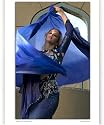 Veil Dancer - 5