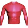 Under Armour Men's All Season Long-Sleeve Gear