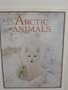 Arctic Animals (Arctic World)